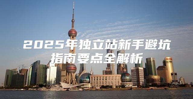 2025年独立站新手避坑指南要点全解析