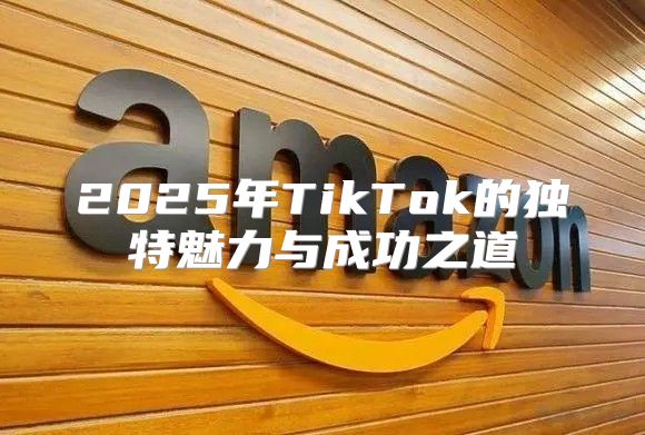 2025年TikTok的独特魅力与成功之道