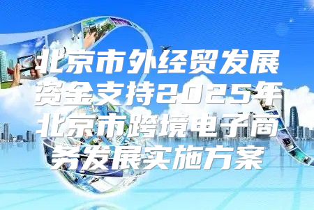 北京市外经贸发展资金支持2025年北京市跨境电子商务发展实施方案