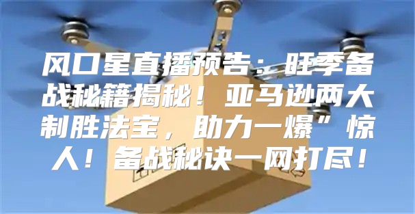 风口星直播预告：旺季备战秘籍揭秘！亚马逊两大制胜法宝，助力一爆”惊人！备战秘诀一网打尽！