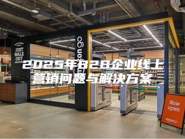 2025年B2B企业线上营销问题与解决方案