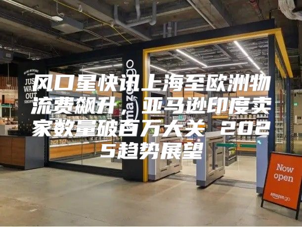 风口星快讯上海至欧洲物流费飙升，亚马逊印度卖家数量破百万大关 2025趋势展望