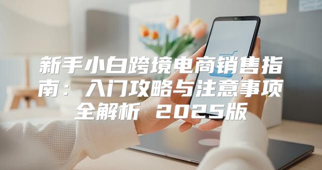 新手小白跨境电商销售指南：入门攻略与注意事项全解析 2025版