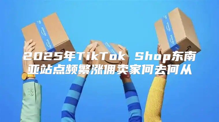 2025年TikTok Shop东南亚站点频繁涨佣卖家何去何从