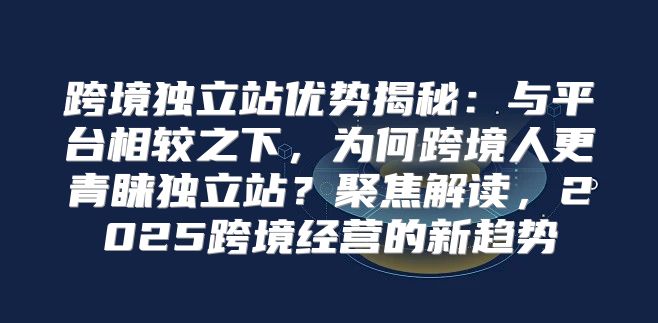跨境独立站优势揭秘：与平台相较之下，为何跨境人更青睐独立站？聚焦解读，2025跨境经营的新趋势