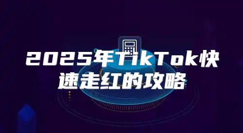 2025年TikTok快速走红的攻略