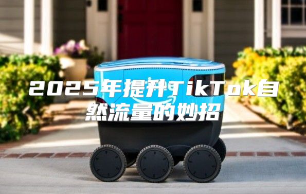 2025年提升TikTok自然流量的妙招