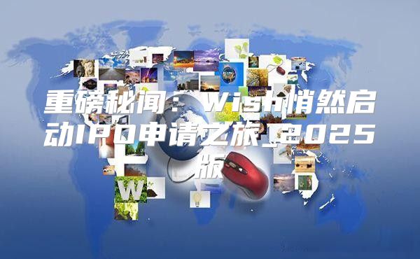 重磅秘闻：Wish悄然启动IPO申请之旅_2025版