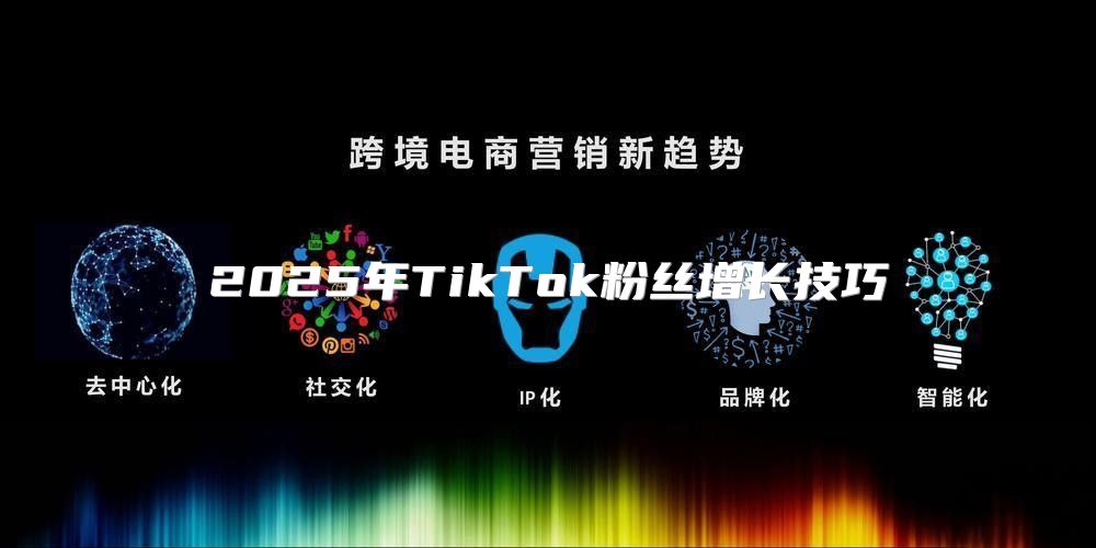2025年TikTok粉丝增长技巧