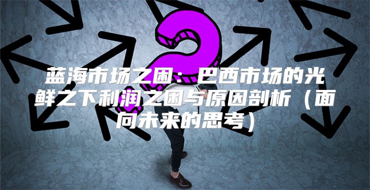 蓝海市场之困：巴西市场的光鲜之下利润之困与原因剖析面向未来的思考
