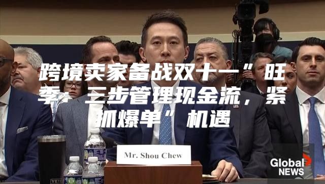 跨境卖家备战双十一”旺季：三步管理现金流，紧抓爆单”机遇