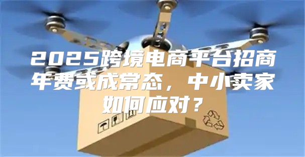 2025跨境电商平台招商年费或成常态，中小卖家如何应对？