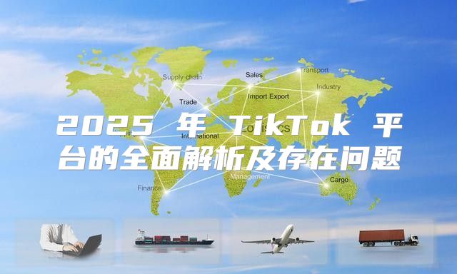 2025 年 TikTok 平台的全面解析及存在问题