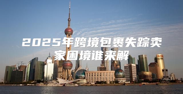 2025年跨境包裹失踪卖家困境谁来解