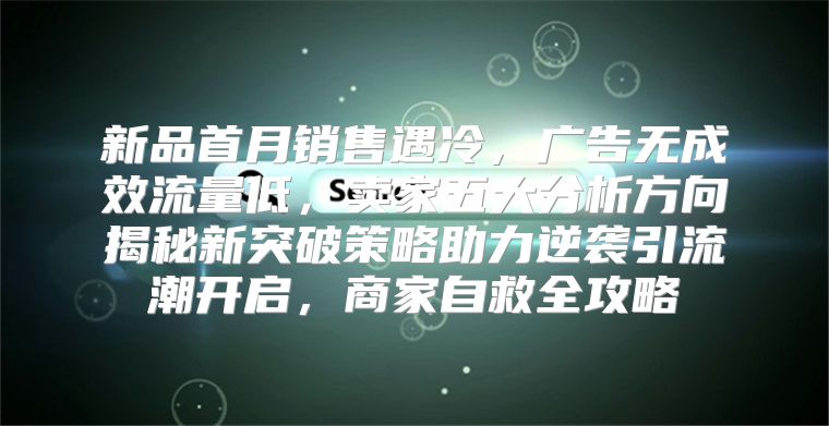 新品首月销售遇冷，广告无成效流量低，卖家五大分析方向揭秘新突破策略助力逆袭引流潮开启，商家自救全攻略