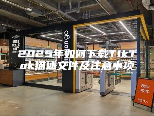2025年如何下载TikTok描述文件及注意事项