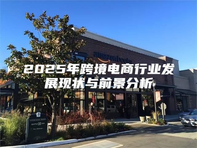 2025年跨境电商行业发展现状与前景分析
