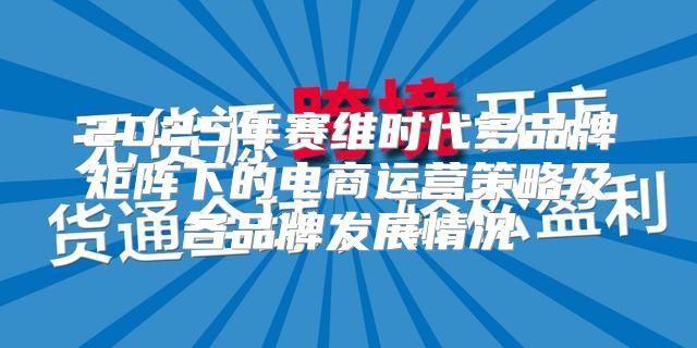 2025年赛维时代多品牌矩阵下的电商运营策略及各品牌发展情况