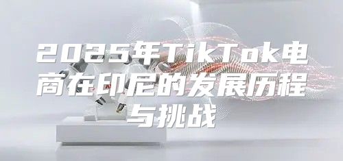 2025年TikTok电商在印尼的发展历程与挑战