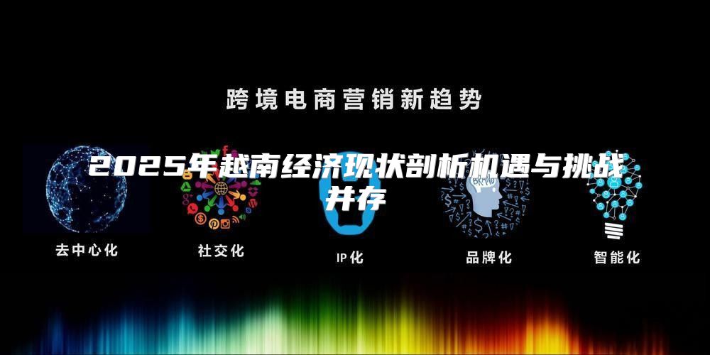 2025年越南经济现状剖析机遇与挑战并存