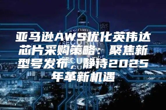 亚马逊AWS优化英伟达芯片采购策略：聚焦新型号发布，静待2025年革新机遇