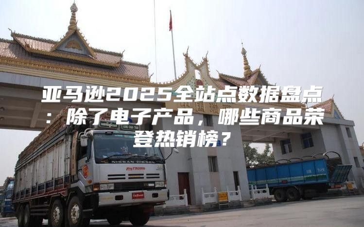 亚马逊2025全站点数据盘点：除了电子产品，哪些商品荣登热销榜？