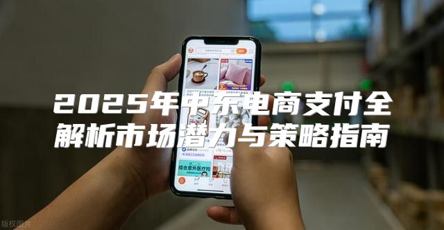 2025年中东电商支付全解析市场潜力与策略指南