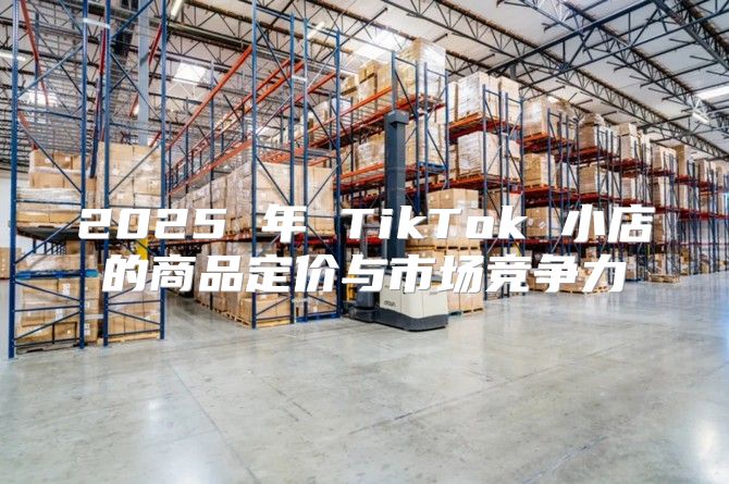 2025 年 TikTok 小店的商品定价与市场竞争力