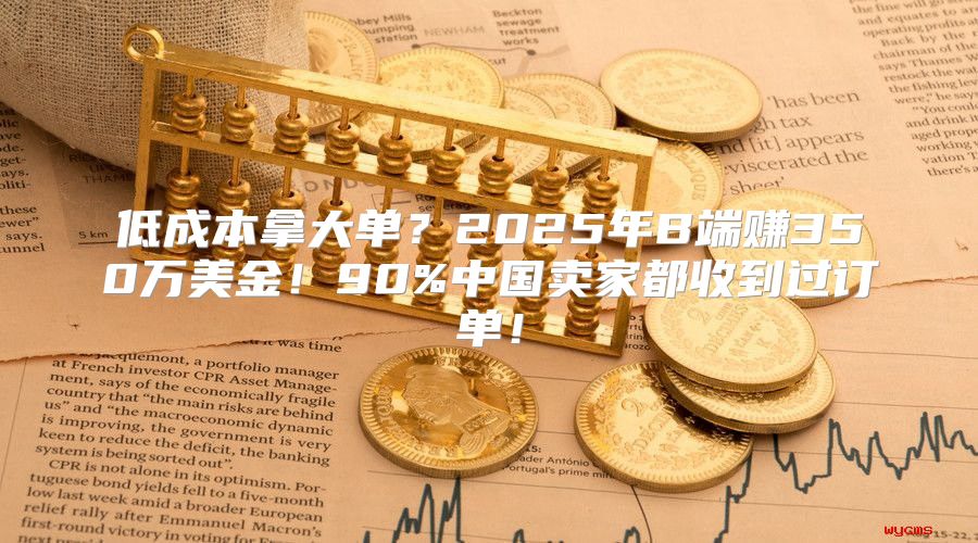 低成本拿大单？2025年B端赚350万美金！90%中国卖家都收到过订单！