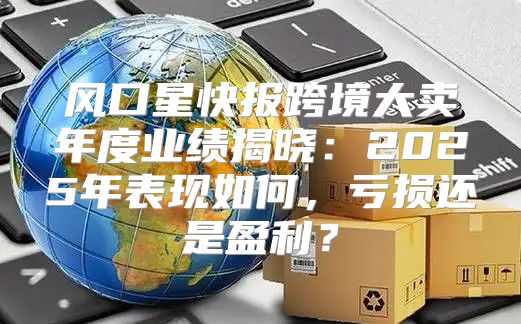 风口星快报跨境大卖年度业绩揭晓：2025年表现如何，亏损还是盈利？