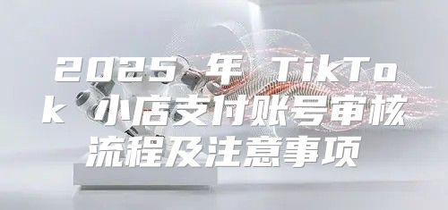 2025 年 TikTok 小店支付账号审核流程及注意事项