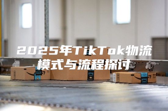 2025年TikTok物流模式与流程探讨