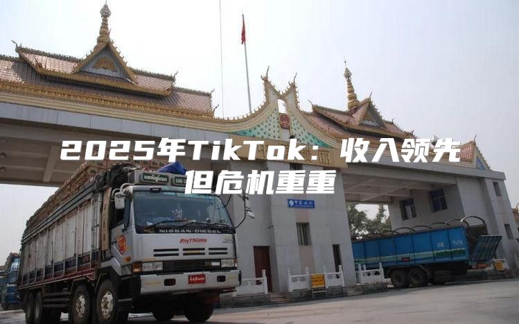 2025年TikTok：收入领先但危机重重