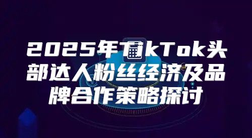 2025年TikTok头部达人粉丝经济及品牌合作策略探讨