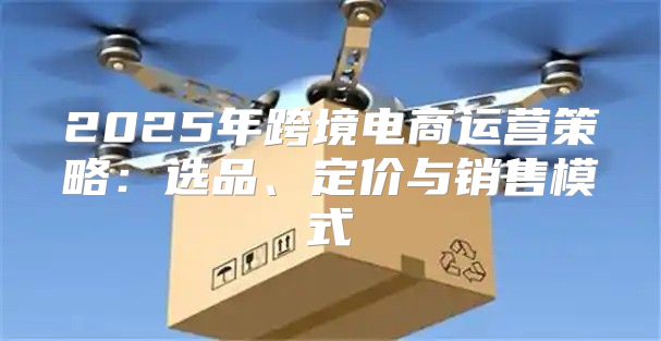 2025年跨境电商运营策略：选品、定价与销售模式