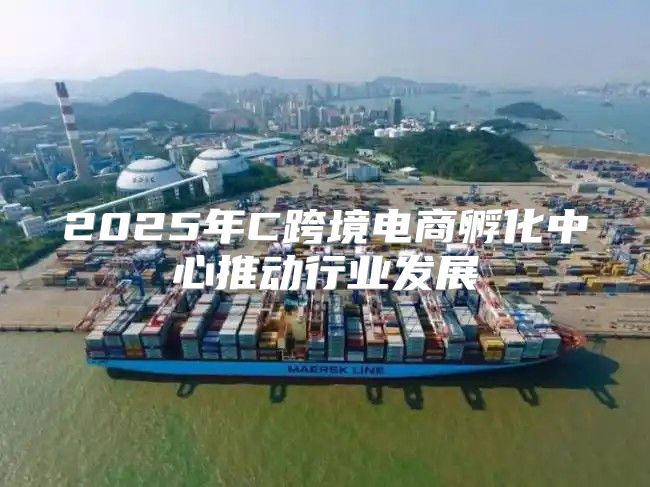 2025年C跨境电商孵化中心推动行业发展
