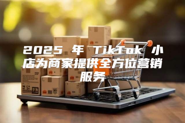 2025 年 TikTok 小店为商家提供全方位营销服务
