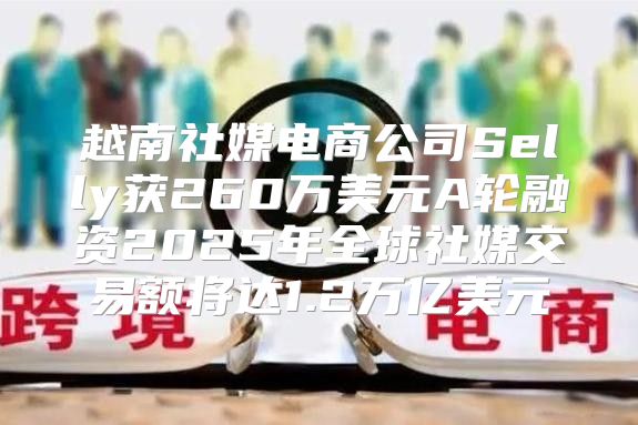 越南社媒电商公司Selly获260万美元A轮融资2025年全球社媒交易额将达1.2万亿美元