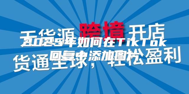 2025年如何在TikTok回复中添加图片