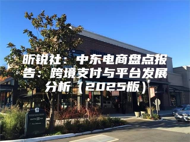 昕锐社：中东电商盘点报告：跨境支付与平台发展分析2025版