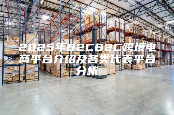 2025年B2CB2C跨境电商平台介绍及各类代表平台分析