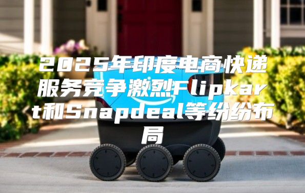 2025年印度电商快递服务竞争激烈Flipkart和Snapdeal等纷纷布局
