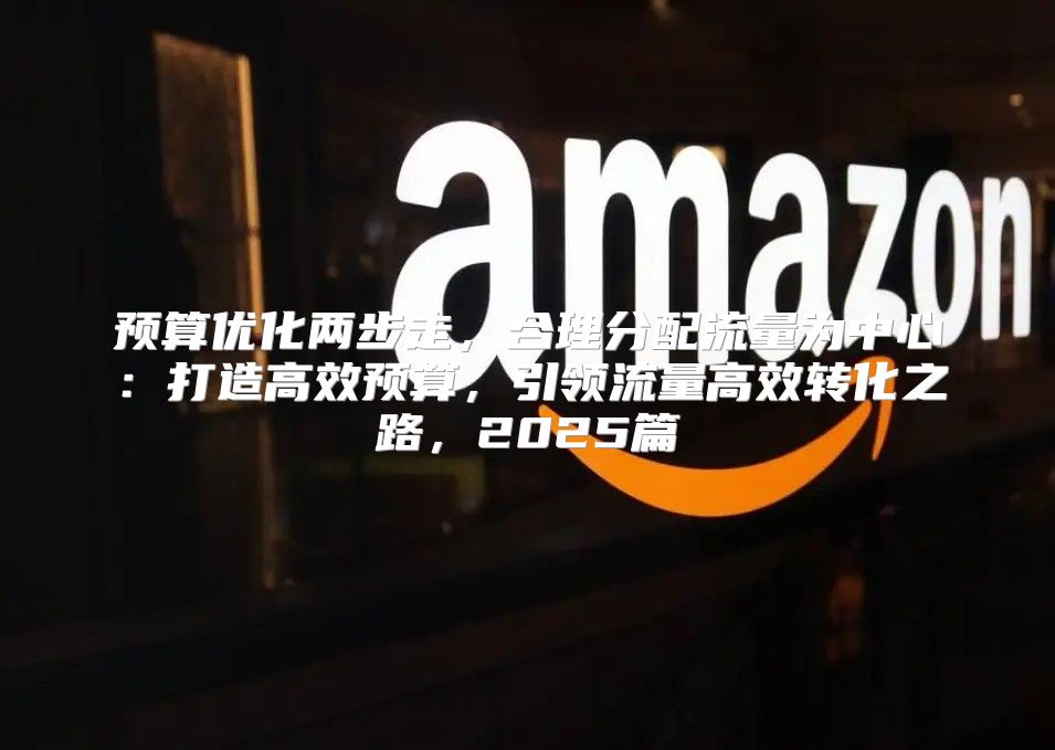 预算优化两步走，合理分配流量为中心：打造高效预算，引领流量高效转化之路，2025篇