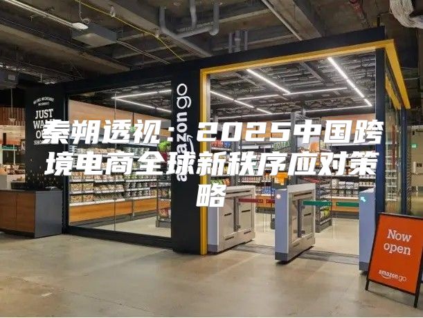 秦朔透视：2025中国跨境电商全球新秩序应对策略
