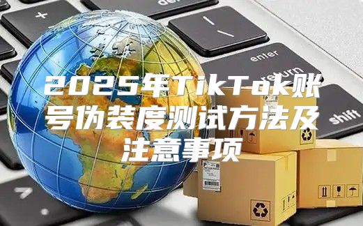 2025年TikTok账号伪装度测试方法及注意事项