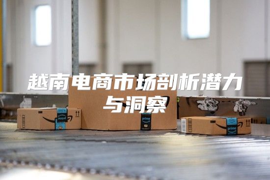 越南电商市场剖析潜力与洞察