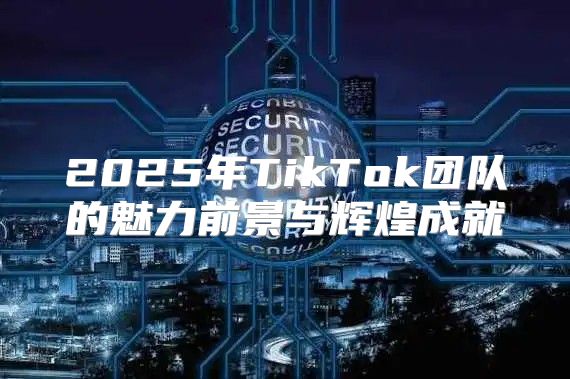 2025年TikTok团队的魅力前景与辉煌成就