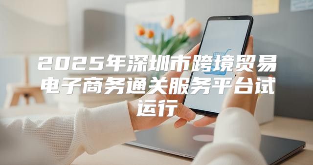 2025年深圳市跨境贸易电子商务通关服务平台试运行