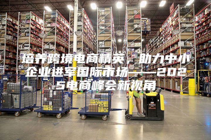 培养跨境电商精英，助力中小企业进军国际市场——2025电商峰会新视角
