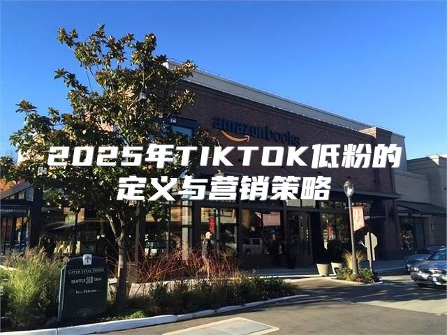 2025年TIKTOK低粉的定义与营销策略